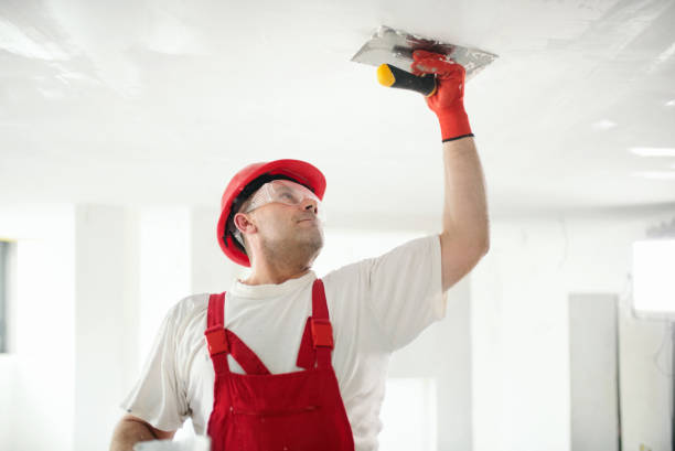 Best Fire-Damaged Drywall Repair  in Island Lake, IL